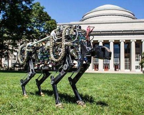 麻省理工研发“盲眼”猎豹机器人，纯靠平衡算法走天下