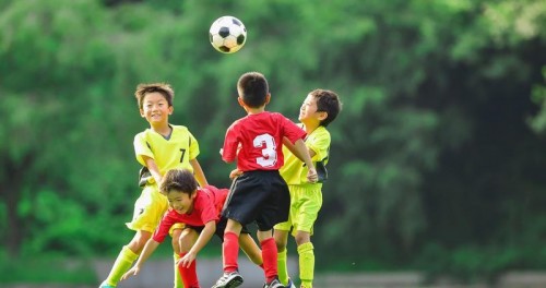 中国家长忽视的体育教育，是美国精英的“爬藤”必需品